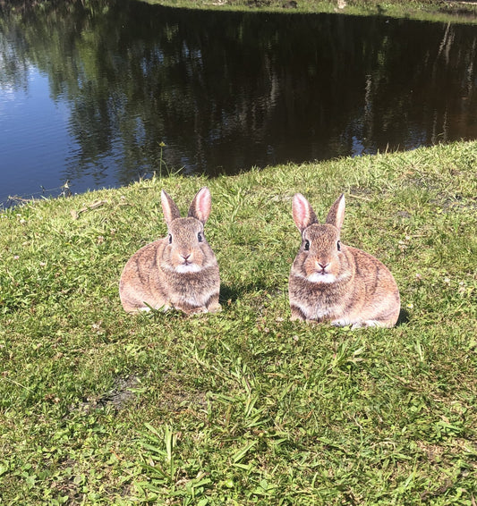 Rabbit yard decoration